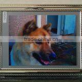 Women and Animal Sex Photo Frame