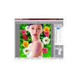 The latest version 3d lenticular software