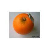 Artificial Fruit thumbnail-1