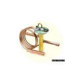 The Two(One)-Way Thermal Expansion Valve thumbnail-1