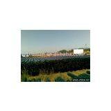 API Petroleum Casing Pipe thumbnail-1