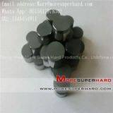 PDC Cutter for Oil Drill Bit, PDC Drill Bit Inserts