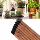 natural funny promotion wood flower fruit grass seeds sprout plant pencil with seeds