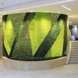 Kunming Foreverose Trading Co., Ltd company overview - view 4 thumbnail