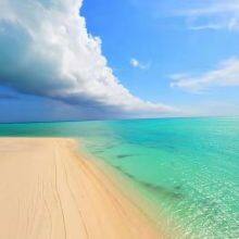 Foshan Luna Shoes Industry And Trade Co., Ltd. company overview - view 1 thumbnail