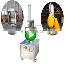 Automatic Commercial Watermelon Melon Electric Jackfruit Papaya Peeler
