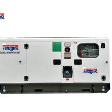 60Hz Diesel Power Genset 20kW Yangdong Diesel Generator With Soundproof Canopy for Hotel Power thumbnail-3