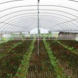 8 m Width Agricultural Tunnel Greenhouse thumbnail-2