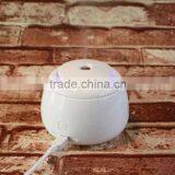 Veister Mini USB Humidifier Air Purifier Aroma Diffuser for Office Home Car White