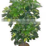 100 cm Artificial Schefflera Gold