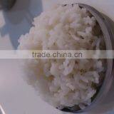 Rice Steamer With Stainless Steel Industrial Food Gas Cooker thumbnail-5