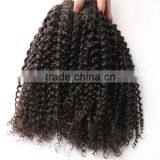 Brazilian Virgin Hair 6A Water Wave 4pcs /lot Brazilian Hair Bundles Remy Human Hair Water Wave thumbnail-6