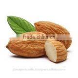 Almond Oil Sweet (Whole sell rate)