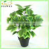 Fake Bonsai Grape Tree