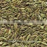 Black Cumin Seed thumbnail-5
