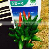 Upright Single Hot Pepper/Chilli Seed Huo Xing No.1 thumbnail-5