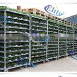 123 Seedling Retail Containers, Seedling European Flower Trolley, Seedling Pot Plant Trolley thumbnail-6
