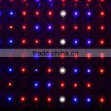 High Quality Greenhouse Cheap 600w Led Grow Lights for Sale thumbnail-5