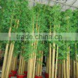 SJ Plastic Realistic Artificial/leek Arrangement of Bamboo With Leaves,bamboo Poles thumbnail-6