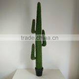 SJ3001009 High Imitation Cactus Plant/indoor Decoration Cactus Plant thumbnail-5