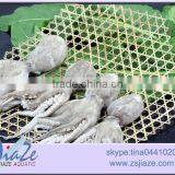 Frozen Baby Octopus Whole Cleaned thumbnail-3