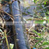 PE Soaker Hose / PE Sprinkler Hose With Wider Spay Range thumbnail-6