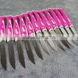51010 12PCS STAINLESS STEEL Fruit Knife Set thumbnail-2
