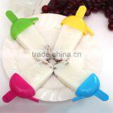 Manufacturer Precision High Quality Food Grade Ice Tray Lolly Mould Pop Maker thumbnail-2