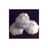 Pure White Garlic / Normal White Garlic / Fresh Garlic thumbnail-3