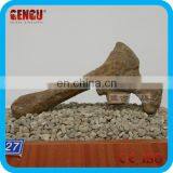 Gasosaurus Dinosaur Bone Fossils