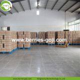 Factory Hot Sale Dried Himalayan Wolfberry thumbnail-5