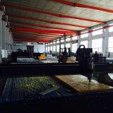 Shandong Ningjin Xinxing Chemical Co,ltd. company overview - view 3 thumbnail