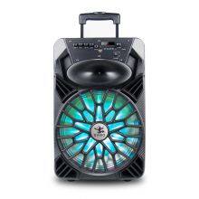 Privated Moulded Portable Trolley Speaker 12'' BK-129 thumbnail-2