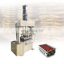 Shuliy Small Recycled Paper Pulp Egg Packing Machine Egg Tray Machine Price in Pakistan