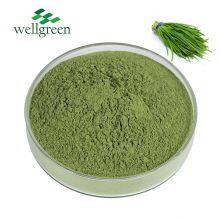 Water soluble Natural Essence Dehydrated Vegetables Dried Leeks Seed Extract Leek Juice Powder thumbnail-2