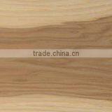 Northern Hickory thumbnail-2