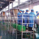 1.5 Tons Tomato Jam Production Line