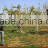 Superhard Carbon Rockies Fishing Rod Short Section 1.8 M/2.1M/2.4M / 2.7M / 3.0 M/3.6M Sea Pole Throwing thumbnail-3