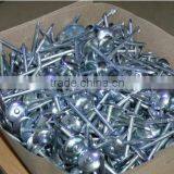Galvanized Umbrella Head Roofing Nails With Smooth/Twist Shank by Low Price Quality Choice Most Popular thumbnail-3