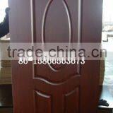 Door Skin thumbnail-1