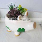 Ceramic Piggy Shape Indoor Flower Pot thumbnail-1