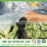 Biodegradable Nonwoven Fabric for Agriculture Landscape thumbnail-3