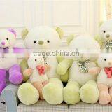 Newest Style Fancy Exquisite Fruit Color Large Sized Plush Teddy Bear thumbnail-6
