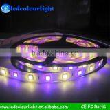 Hot selling dmx control rgb flexible strip/ flexible belt