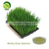 Barley Grass Extract Powder thumbnail-1
