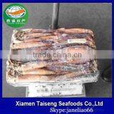 Illex Argentinus Squid Jigs 300-400g Bait Fish for Tuna thumbnail-1