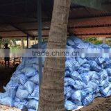 Fresh Coconuts From Kerala thumbnail-1