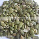 AA Grade Pumpkin Seeds Kernels