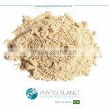 SPRAY DRIED SOURSOP POWDER