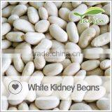 China Origin Good Quality White Kidney Beans thumbnail-5